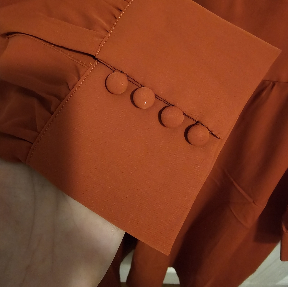 Rihoas Terracotta Long Sleeve Dress - Picture 4 of 6